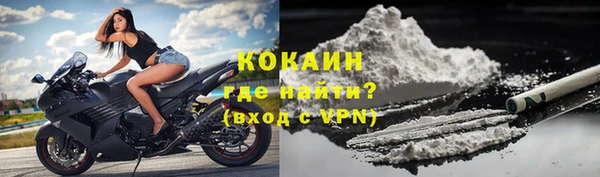 PSILOCYBIN Белокуриха