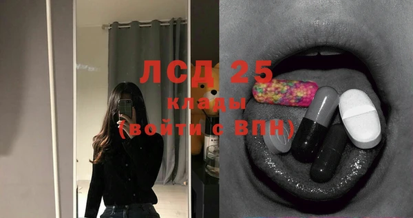 PSILOCYBIN Белокуриха