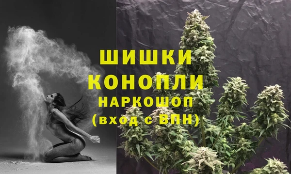PSILOCYBIN Белокуриха