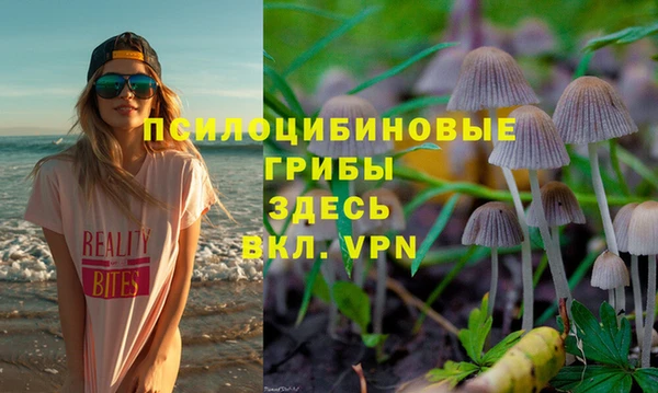 спайс Баксан