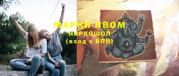 PSILOCYBIN Белокуриха
